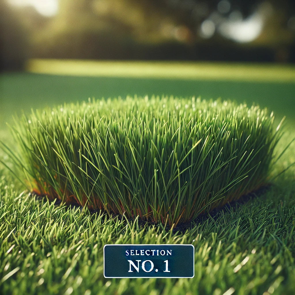 Selection No. 1 grass